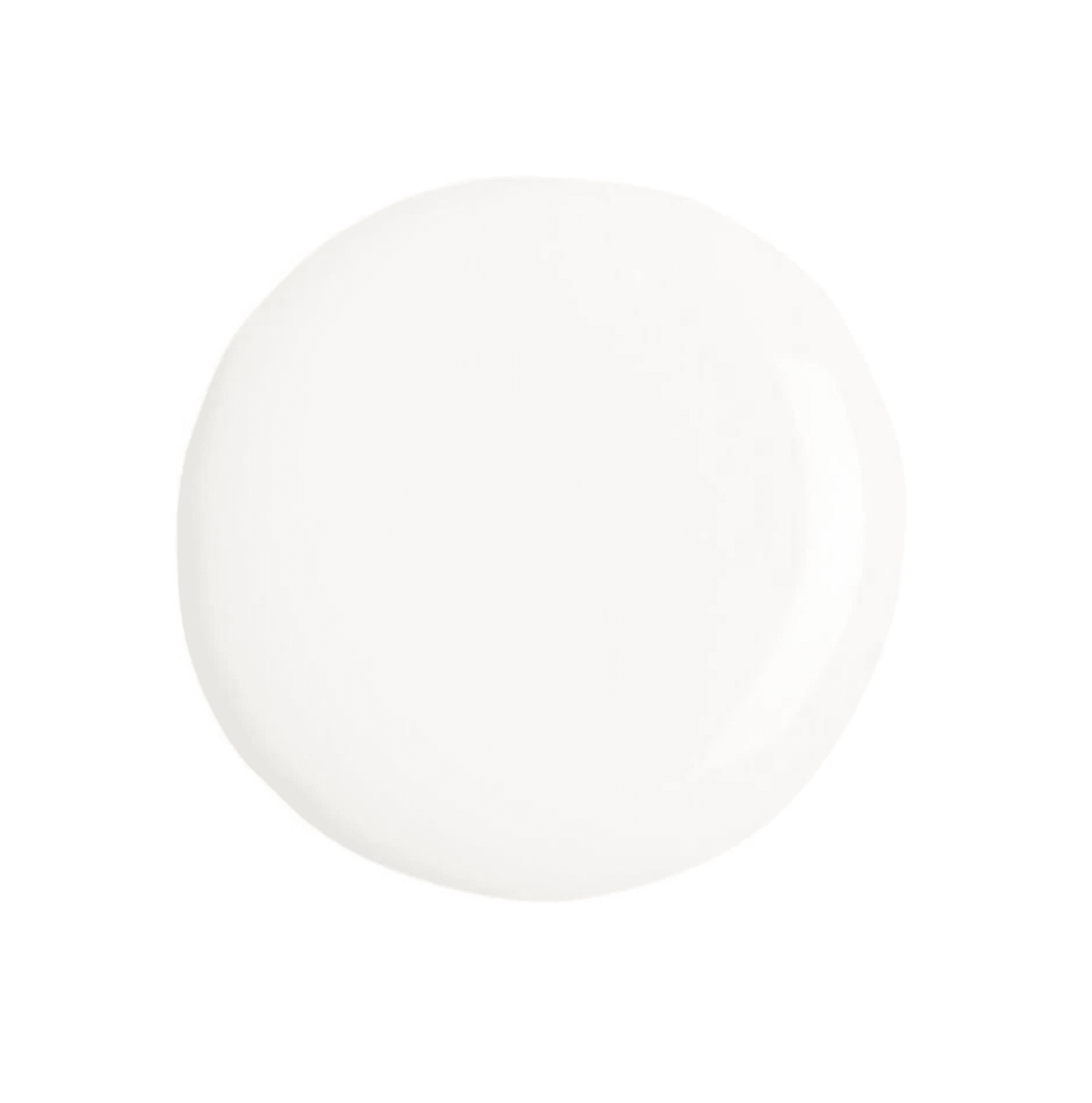 LENA Perfect French Tip - Breathable French Manicure Tip with Precision Brush - FR00