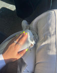 Breathable Halal Holographic Nail Polish - I Need a Holo-day - LE261 by LENA - LENA NAIL POLISH DIRECT